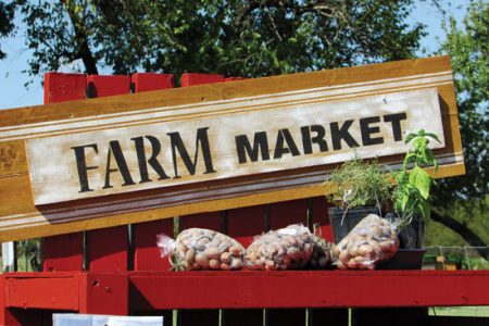 How to Make Farm Stand Signs Image